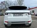 Land Rover Range Rover Evoque SE Dynamic Blanc - thumbnail 6