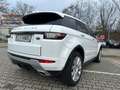 Land Rover Range Rover Evoque SE Dynamic Blanc - thumbnail 4