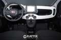 Fiat Panda Pandina 1.0 Firefly Hybrid 70CV Cross Blu/Azzurro - thumbnail 9
