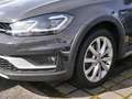 Volkswagen Golf 7 Alltrack 4Motion TDI DSG LED AHK Grijs - thumbnail 4