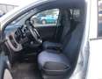 Fiat Panda 1.3 MJT VAN S&S POP Blanc - thumbnail 5