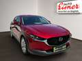 Mazda CX-30 2.0 SKYACTIV-G M Comfort+ AUT HUD Kam. LED Rot - thumbnail 15