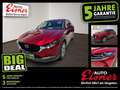 Mazda CX-30 2.0 SKYACTIV-G M Comfort+ AUT HUD Kam. LED Rot - thumbnail 1