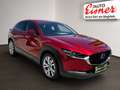 Mazda CX-30 2.0 SKYACTIV-G M Comfort+ AUT HUD Kam. LED Rot - thumbnail 14