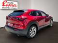 Mazda CX-30 2.0 SKYACTIV-G M Comfort+ AUT HUD Kam. LED Rot - thumbnail 12