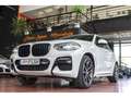 BMW X4 xDrive 20dA Blanco - thumbnail 20