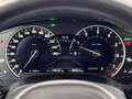BMW 530 5-serie 530i High Executive Dak/Memory/Camera/HuD Gris - thumbnail 28