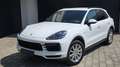 Porsche Cayenne Cayenne III E-Hybrid PHEV 17,9 kWh Aut. Weiß - thumbnail 8
