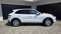 Porsche Cayenne Cayenne III E-Hybrid PHEV 17,9 kWh Aut. Weiß - thumbnail 2