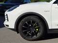 Porsche Cayenne Cayenne III E-Hybrid PHEV 17,9 kWh Aut. Weiß - thumbnail 3