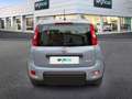 Fiat Panda 1.0 FireFly S&S Hybrid Grau - thumbnail 6