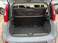 Fiat Panda 1.0 FireFly S&S Hybrid Grau - thumbnail 9