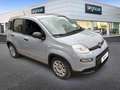 Fiat Panda 1.0 FireFly S&S Hybrid Grau - thumbnail 2