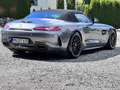 Mercedes-Benz AMG GT Roadster Performmaster 613PS*1 Hand* Grigio - thumbnail 4