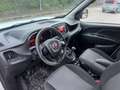 Fiat Doblo Doblò 1.6 MJT 105CV PL-TN Cargo Maxi Lamierato SX Weiß - thumbnail 10