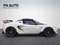 Lotus Elise Elise Cup 250 Wit - thumbnail 7