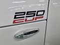 Lotus Elise Elise Cup 250 Wit - thumbnail 20