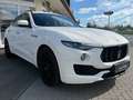 Maserati Levante GranLusso SQ4 Pano Vollausstattung Blanc - thumbnail 7