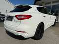 Maserati Levante GranLusso SQ4 Pano Vollausstattung Blanc - thumbnail 5