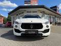 Maserati Levante GranLusso SQ4 Pano Vollausstattung Blanc - thumbnail 8