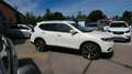 Nissan X-Trail N-Vision /360°Kamera/SHZ/AUTOMATIK Weiß - thumbnail 6