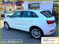 Audi Q3 2.0 TDI 177 CV quattro S tronic Advanced Plus Bianco - thumbnail 4