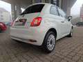 Fiat 500 1.0 BSG HYBRID DOLCEVITA - thumbnail 15