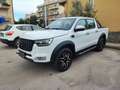 DR Automobiles PK8 2.0 turbo diesel 4x4 136cv - thumbnail 2