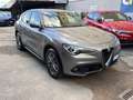 Alfa Romeo Stelvio 2.2 Turbodiesel 190 CV AT8 Q4 Business Grigio - thumbnail 1