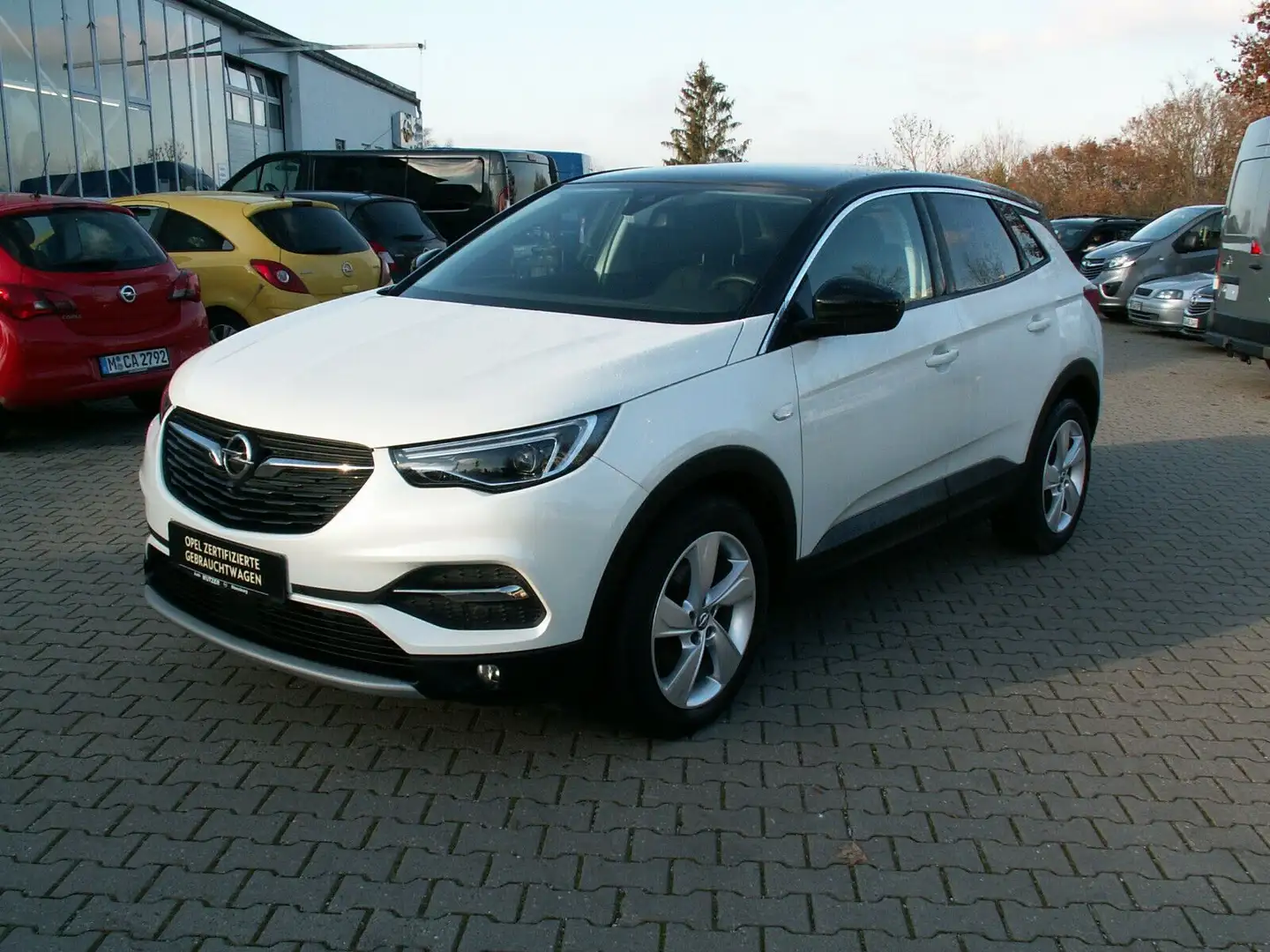 Opel Grandland X Ultimate  1,5 CDTI   130 PS Weiß - 1