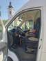 Fiat Ducato GR-Panorama 33 L3H3 130 Multijet - thumbnail 7