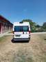 Fiat Ducato GR-Panorama 33 L3H3 130 Multijet - thumbnail 4