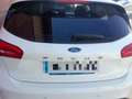 Ford Focus 1.5 Ecoblue Trend+ 120 Blanco - thumbnail 6
