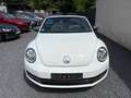 Volkswagen Beetle Cabriolet/Klima/Navi/Leder/PDC Blanc - thumbnail 2