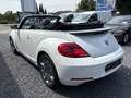 Volkswagen Beetle Cabriolet/Klima/Navi/Leder/PDC Blanc - thumbnail 4