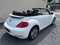 Volkswagen Beetle Cabriolet/Klima/Navi/Leder/PDC Blanc - thumbnail 6