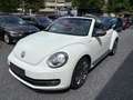 Volkswagen Beetle Cabriolet/Klima/Navi/Leder/PDC Blanc - thumbnail 3