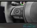 Toyota RAV 4 2.5 Style MJ25 Smart Entry*Leder*Totwinkel Gris - thumbnail 24