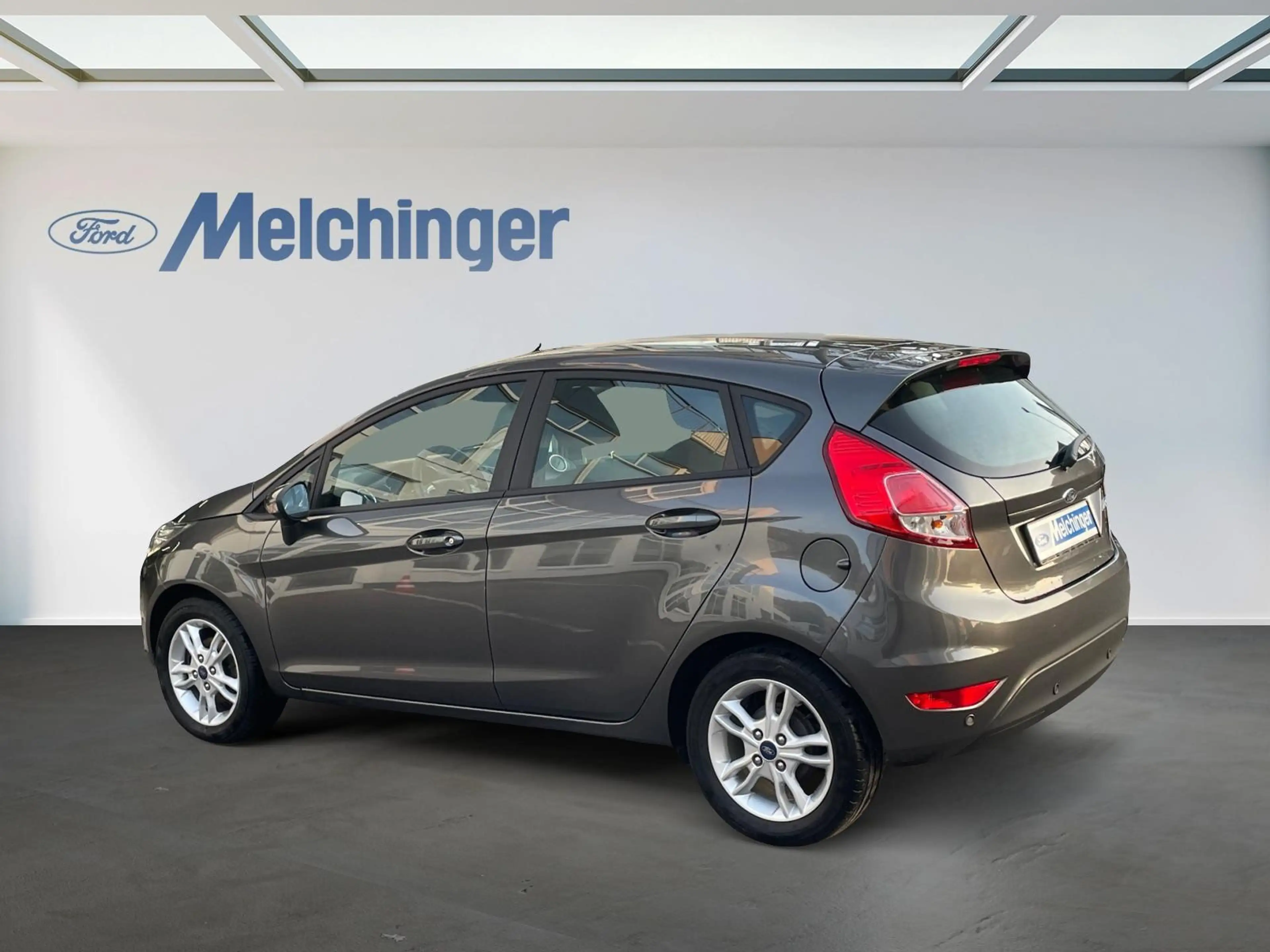 Ford Fiesta Celebration — photo 5
