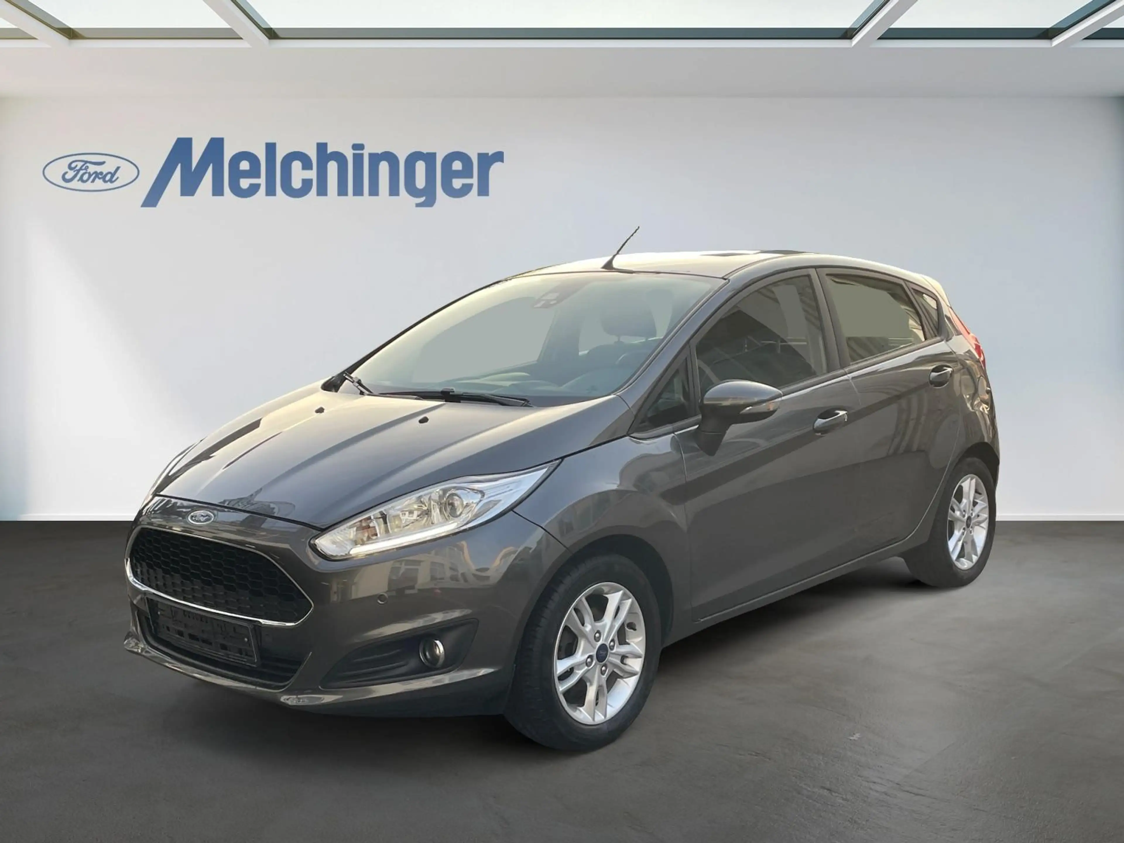 Ford Fiesta Celebration