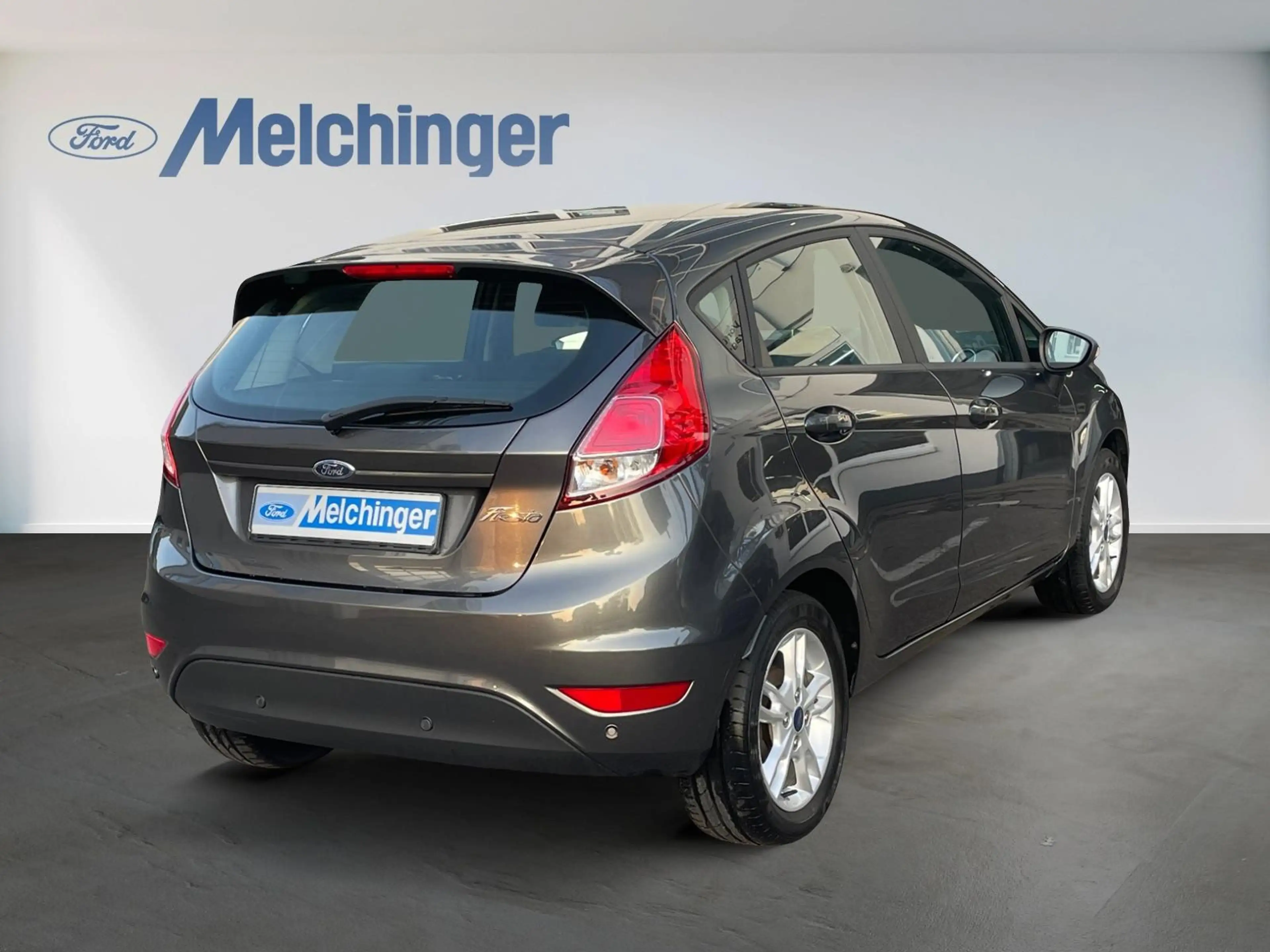 Ford Fiesta Celebration — photo 4