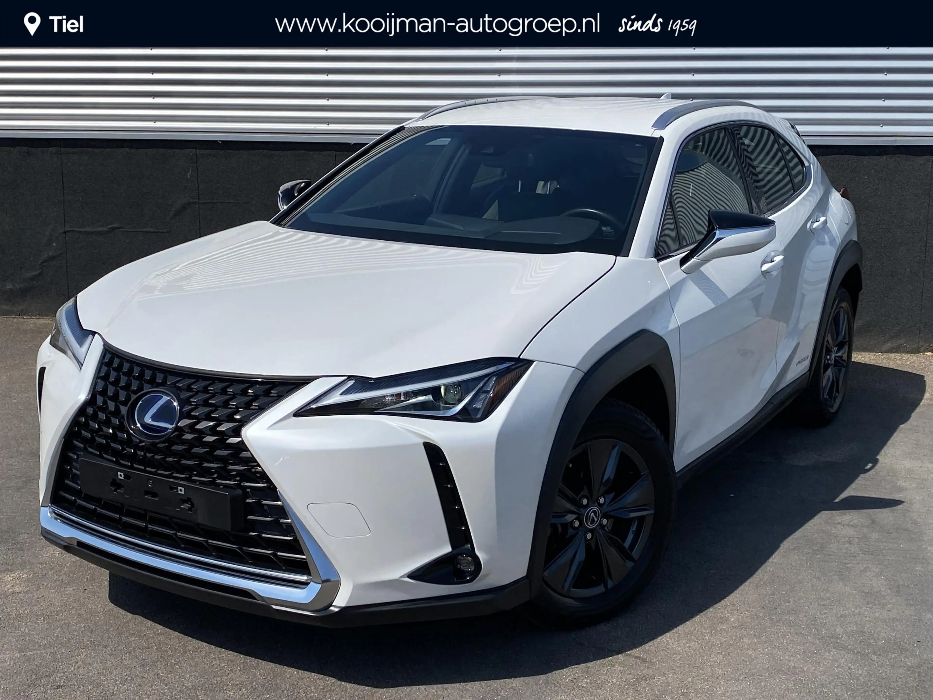Lexus UX 250h Comfort Business Apple Carplay en/of Android auto