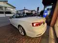 Audi A5 A5 cabrio 2.0 tdi S-line Edition 190cv s-tronic White - thumbnail 5