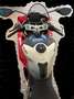 Ducati Panigale V4 R Rood - thumbnail 9