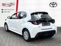 Toyota Yaris Hybrid 1.5 Business Edition +Kamera +Sitzheizung Bianco - thumbnail 4