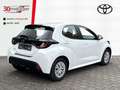 Toyota Yaris Hybrid 1.5 Business Edition +Kamera +Sitzheizung Bianco - thumbnail 3