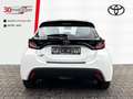 Toyota Yaris Hybrid 1.5 Business Edition +Kamera +Sitzheizung Bianco - thumbnail 16