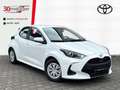 Toyota Yaris Hybrid 1.5 Business Edition +Kamera +Sitzheizung Bianco - thumbnail 1