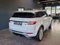 Land Rover Range Rover Evoque SE Dynamic 2.0Td4*Facelift* Weiß - thumbnail 12