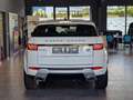 Land Rover Range Rover Evoque SE Dynamic 2.0Td4*Facelift* Weiß - thumbnail 11
